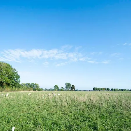 Bio Nature Homes - Nichtraucherunterkunft *